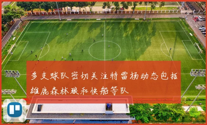 多支球队密切关注特雷杨动态包括雄鹿森林狼和快船等队