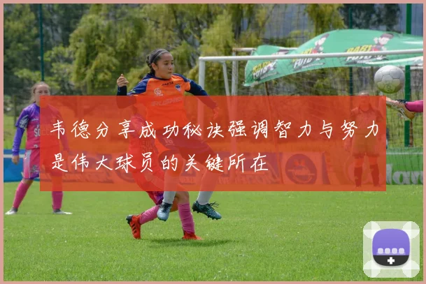 韦德分享成功秘诀强调智力与努力是伟大球员的关键所在